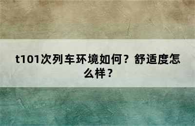 t101次列车环境如何？舒适度怎么样？