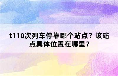 t110次列车停靠哪个站点？该站点具体位置在哪里？