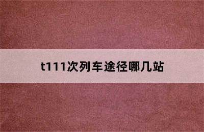 t111次列车途径哪几站