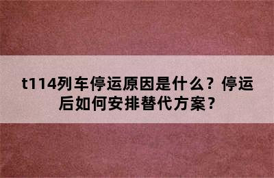 t114列车停运原因是什么？停运后如何安排替代方案？