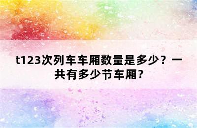t123次列车车厢数量是多少？一共有多少节车厢？