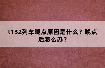 t132列车晚点原因是什么？晚点后怎么办？
