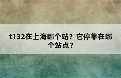t132在上海哪个站？它停靠在哪个站点？