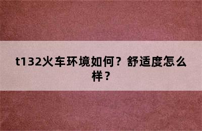 t132火车环境如何？舒适度怎么样？