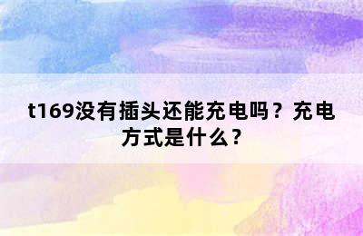 t169没有插头还能充电吗？充电方式是什么？