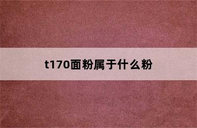 t170面粉属于什么粉