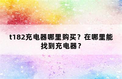 t182充电器哪里购买？在哪里能找到充电器？