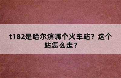 t182是哈尔滨哪个火车站？这个站怎么走？