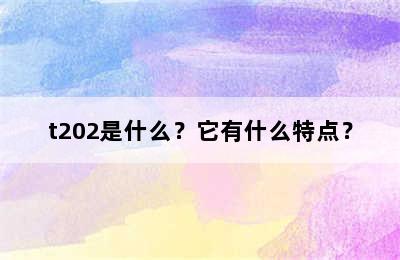 t202是什么？它有什么特点？