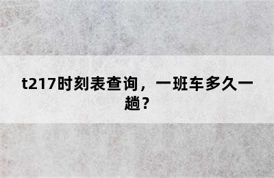 t217时刻表查询，一班车多久一趟？