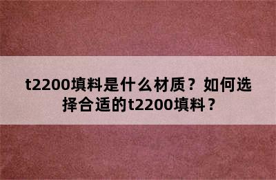 t2200填料是什么材质？如何选择合适的t2200填料？