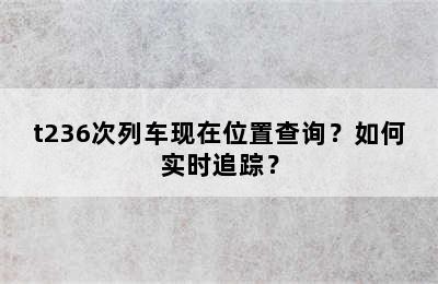 t236次列车现在位置查询？如何实时追踪？
