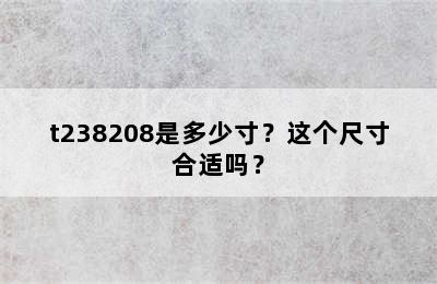 t238208是多少寸？这个尺寸合适吗？