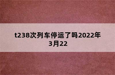 t238次列车停运了吗2022年3月22