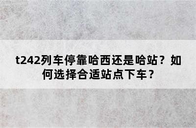 t242列车停靠哈西还是哈站？如何选择合适站点下车？