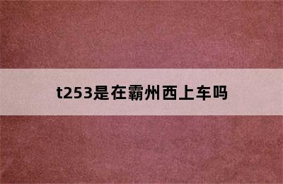t253是在霸州西上车吗