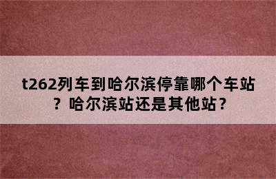 t262列车到哈尔滨停靠哪个车站？哈尔滨站还是其他站？