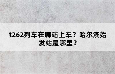 t262列车在哪站上车？哈尔滨始发站是哪里？