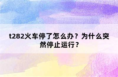 t282火车停了怎么办？为什么突然停止运行？