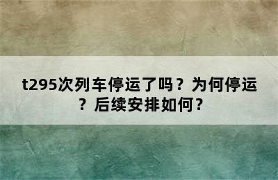 t295次列车停运了吗？为何停运？后续安排如何？
