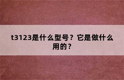 t3123是什么型号？它是做什么用的？