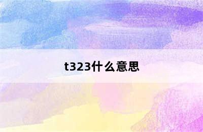 t323什么意思