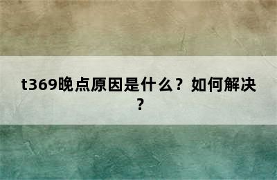 t369晚点原因是什么？如何解决？