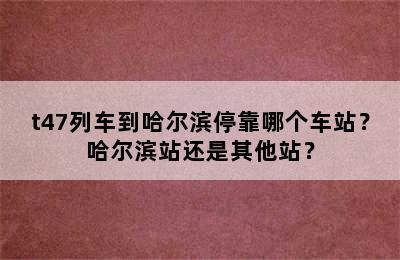 t47列车到哈尔滨停靠哪个车站？哈尔滨站还是其他站？