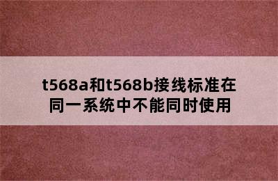 t568a和t568b接线标准在同一系统中不能同时使用