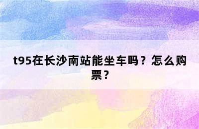 t95在长沙南站能坐车吗？怎么购票？