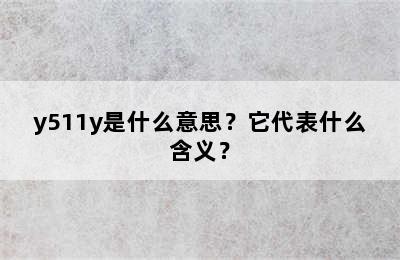 y511y是什么意思？它代表什么含义？