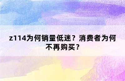 z114为何销量低迷？消费者为何不再购买？