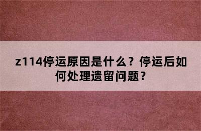 z114停运原因是什么？停运后如何处理遗留问题？