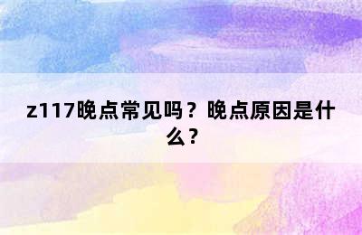 z117晚点常见吗？晚点原因是什么？