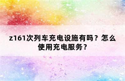 z161次列车充电设施有吗？怎么使用充电服务？