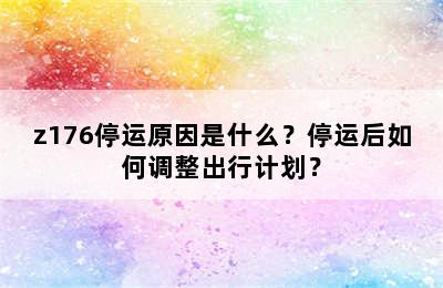 z176停运原因是什么？停运后如何调整出行计划？