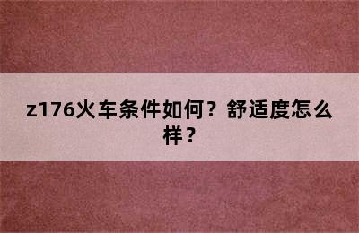 z176火车条件如何？舒适度怎么样？