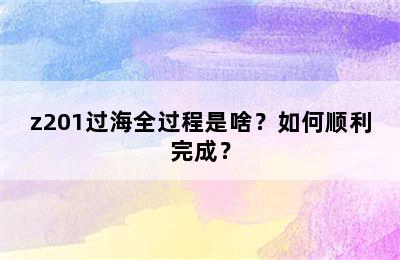 z201过海全过程是啥？如何顺利完成？