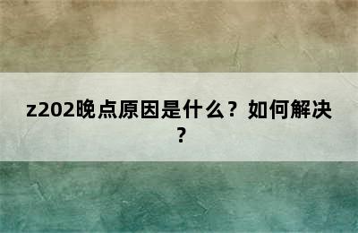 z202晚点原因是什么？如何解决？