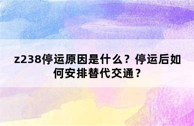 z238停运原因是什么？停运后如何安排替代交通？