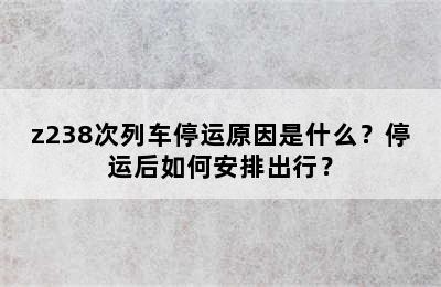 z238次列车停运原因是什么？停运后如何安排出行？