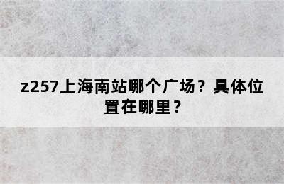 z257上海南站哪个广场？具体位置在哪里？