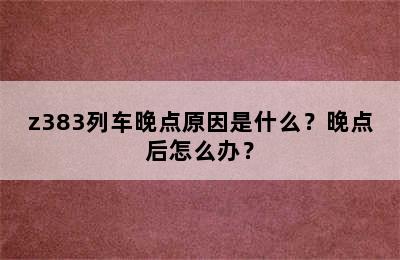 z383列车晚点原因是什么？晚点后怎么办？