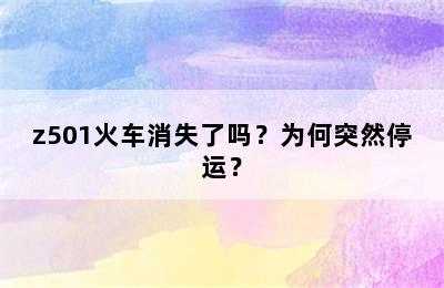 z501火车消失了吗？为何突然停运？