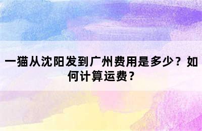 一猫从沈阳发到广州费用是多少？如何计算运费？