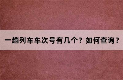 一趟列车车次号有几个？如何查询？