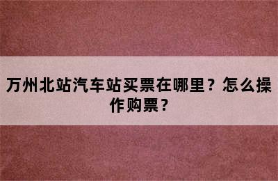 万州北站汽车站买票在哪里？怎么操作购票？