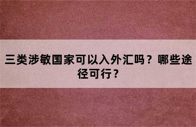 三类涉敏国家可以入外汇吗？哪些途径可行？