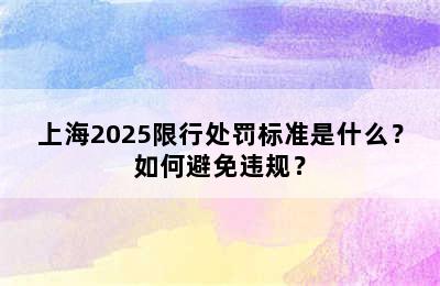 上海2025限行处罚标准是什么？如何避免违规？