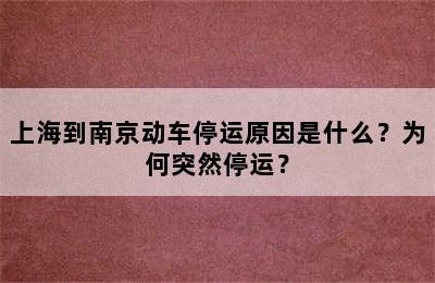 上海到南京动车停运原因是什么？为何突然停运？